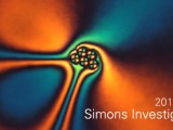 Prof. Ngo Bao Chau and Prof. Dam Thanh Son awarded 2013 Simons Investigators