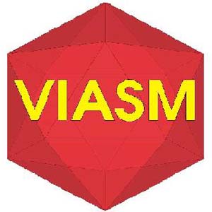 VIASM tuyển chọn ứng viên nghiên cứu cho năm 2018